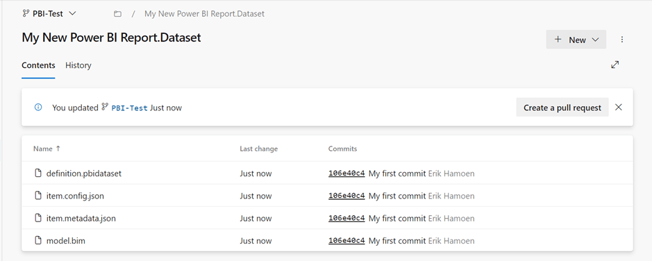 Details of Report.Dataset